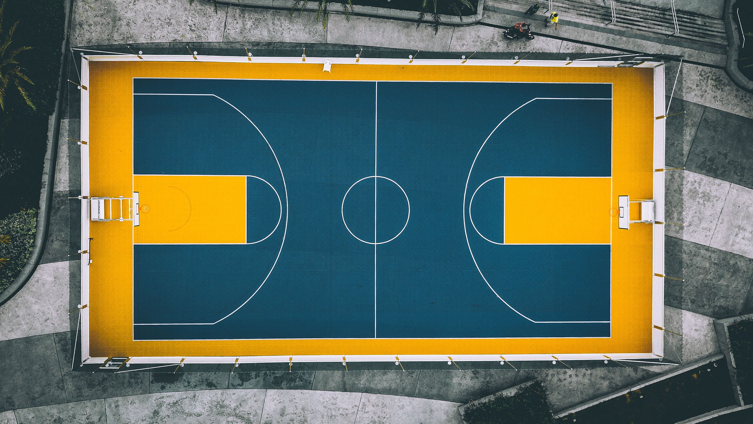 “球场趣味冷知识：你知道这些NBA冷门事？”，nba的冷知识